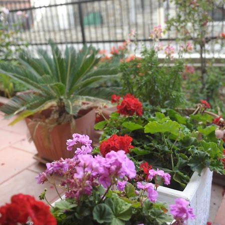 לפטוקריה Sea View Apartments Poseidon מראה חיצוני תמונה